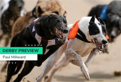 derby betting oddschecker|greyhound derby betting oddschecker.